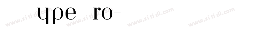 TUI Type Pro字体转换
